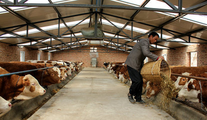 【走進(jìn)“三農(nóng)”】張家川五大產(chǎn)業(yè)齊并進(jìn)（三）畜牧設(shè)備技術(shù)開(kāi)發(fā) 賦能傳統(tǒng)養(yǎng)殖，驅(qū)動(dòng)產(chǎn)業(yè)升級(jí)